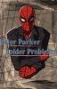 Peter Parker, spider problems