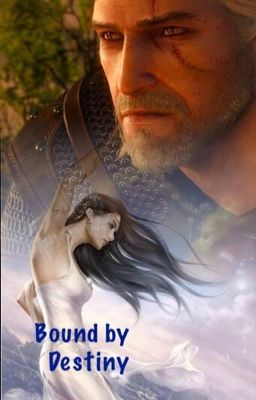 Bound By Destiny  (book 1) cover