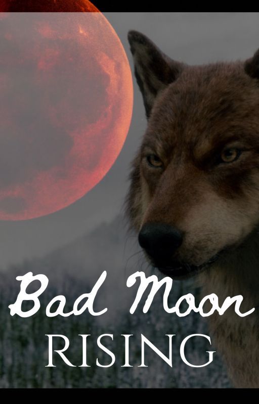 Bad Moon Rising  {J. Black} by theallylayne