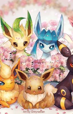 Eeveelutions High School (Discontinued)  cover