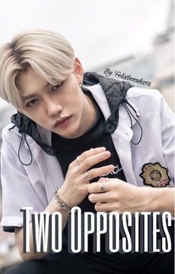 ••𝚃𝚠𝚘 𝙾𝚙𝚙𝚘𝚜𝚒𝚝𝚎𝚜••  A Lee Felix ff cover