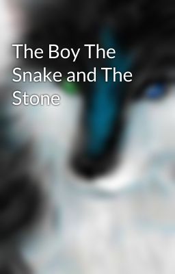 The Boy The Snake and The Stone cover