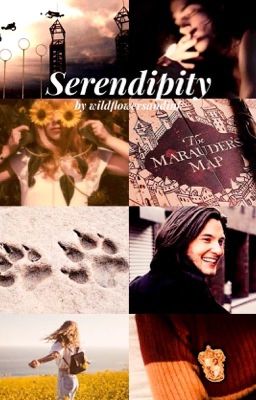 Serendipity (S. Black) cover