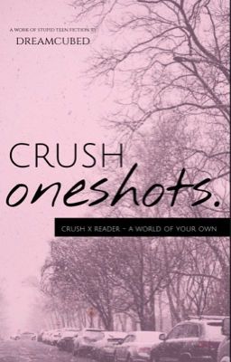 Crush Oneshots | Crush x Reader cover