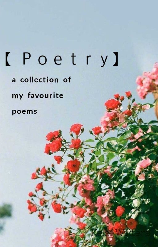 Poetry Collection #1 by honeycombbea