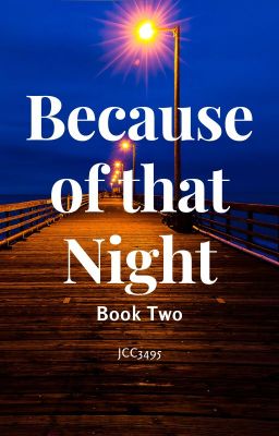 Because of that Night (Book 2) cover