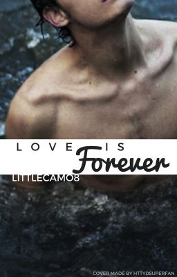 Love Is Forever (Hiccup x reader one-shots) cover