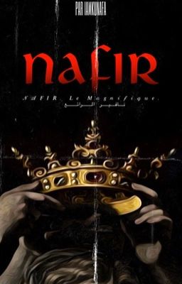 NAFIR, le magnifique. cover