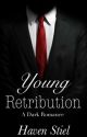 Young Retribution by HavenStiel