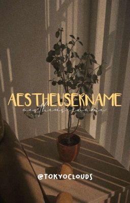 Aestheusername cover