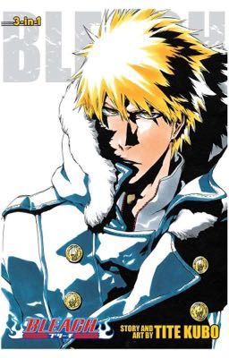 Bleach x reader one shots cover