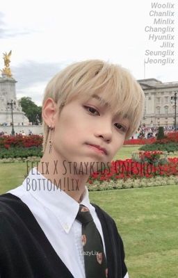 Felix X SKZ Oneshots || Bottom!Lix  cover