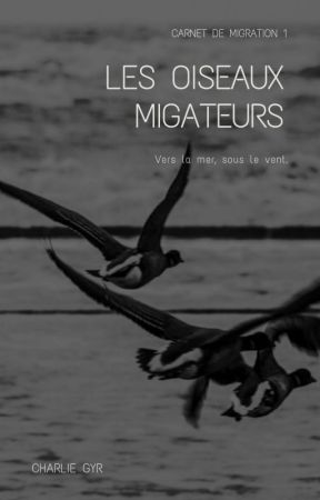 Les oiseaux migrateurs - [7 shots - BTS] by charliegyr