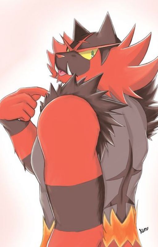 A Friendly Duel (Incineroar x Reader) (Pokemon) by Azzy_the_WaifuMaster