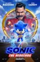 Sonic the Hedgehog movie: Sonic x Rose by minecraftgalplayer