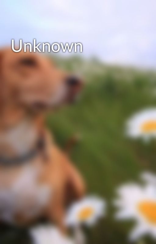 Unknown by dreamerrrrrrrrrrrrrr