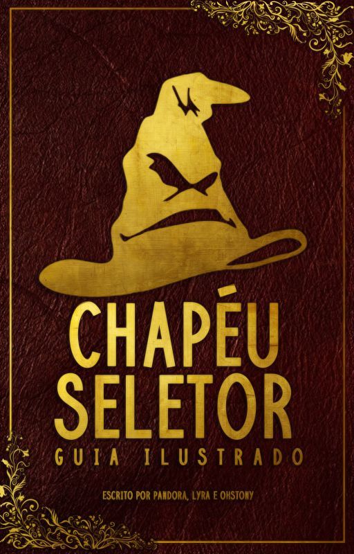 CHAPÉU SELETOR, 𝘩𝑎𝑟𝑟𝑦 𝑝𝑜𝑡𝑡𝑒𝑟 by seletorhat