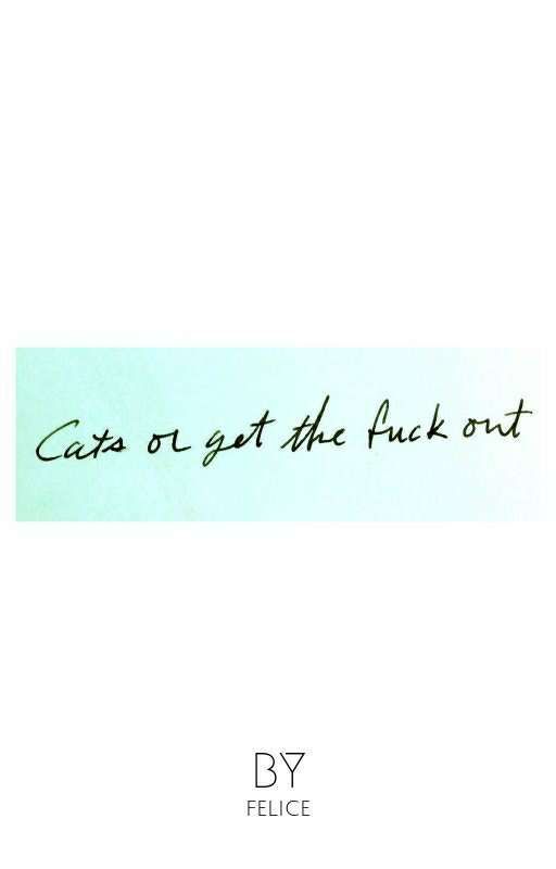 Cats or Get the Fuck Out by _felice_is_me