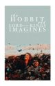 The Hobbit  and Lord of the Rings Imagines by -incalescent