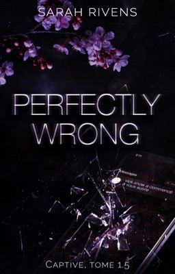 PERFECTLY WRONG (Sous contrat d'édition chez BMR)  cover