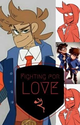 Fighting for Love (Tord x Reader) cover