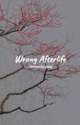 WRONG AFTERLIFE, tbhk ✓ cover