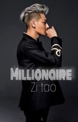 millionaire :เศรษฐี cover