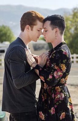 Adopted by Gallavich cover