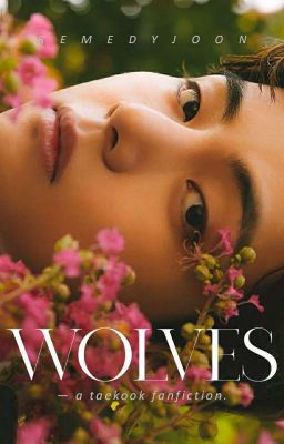 WOLVES. taekook ✓ cover