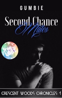 Second Chance Mates cover