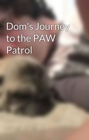 Dom's Journey to the PAW Patrol by cartoonlover18