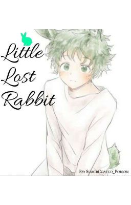 Little Lost Rabbit  cover