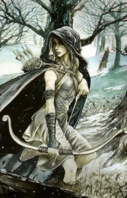 The Daughter of the Assassin and the Huntress cover