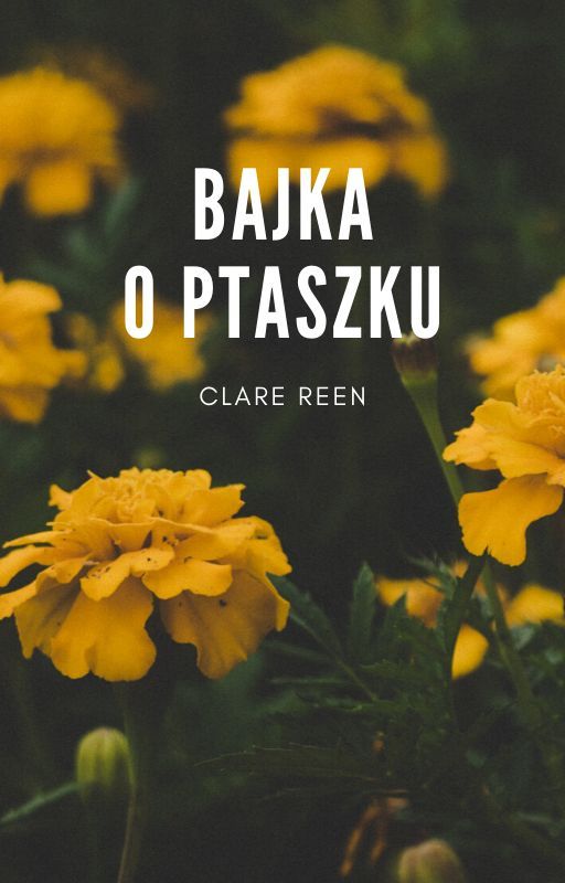 Bajka o ptaszku by Nireska