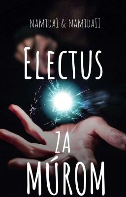 Electus - Za múrom (Dokončené) cover