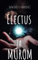 Electus - Za múrom (Dokončené) by namida1