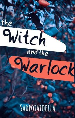 The Witch and the Warlock cover