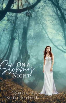 A Stormy Night cover