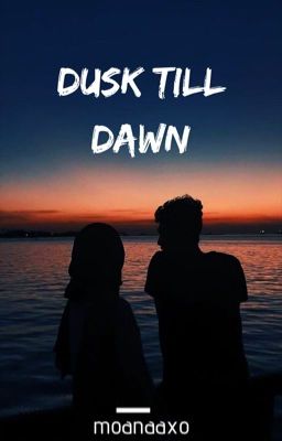 Dusk Till Dawn | ✓ cover