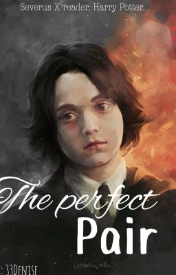 The Perfect Pair (Severus x Reader) cover