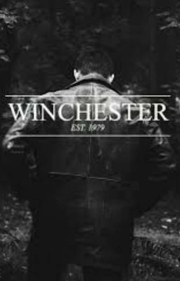 The Unknown Winchester cover