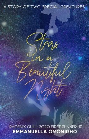 Stars in a Beautiful Night | ✓ by frostyella