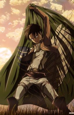 Levi x Reader Oneshots cover