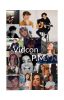 Vidcon~P.M