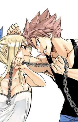 Fairy tail L'histoire D'une Vie cover