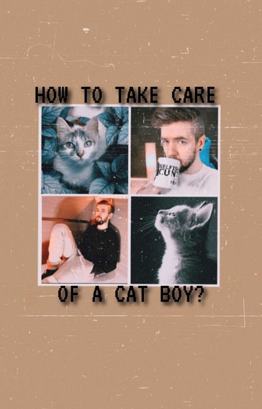 How to take care of a cat boy! (Book 1) ON HOLD!! by Paperplane_szora