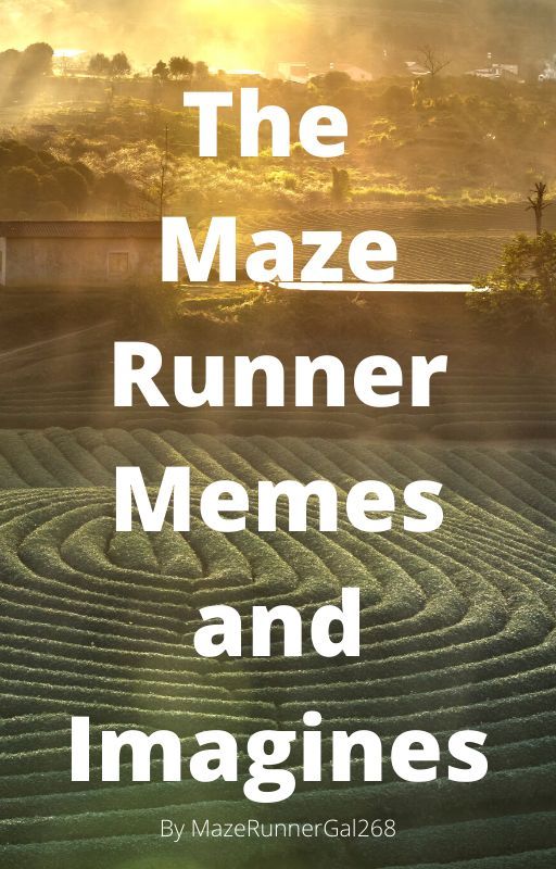 The Maze Runner Memes and Imagines by mazerunnerbitch928