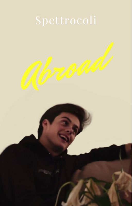 Abroad (Christoffer Schistad x Reader)  by Spettrocoli