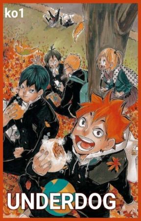 UNDERDOG | haikyuu x f!reader by ko1gate