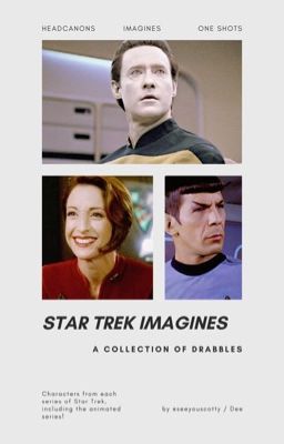 Star Trek Imagines cover